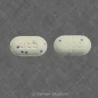 Lortab (Acetaminophen and hydrocodone [ a-seet-a-min-oh-fen-and-hye-droe-koe-done ])-ucb 902-500 mg / 5 mg-White & Blue Specks-Capsule-shape