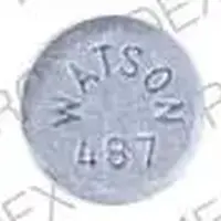 Estradiol topical (Estradiol topical [ ess-tra-dye-ol-top-ik-al ])-WATSON 487-1 mg-Gray-Round