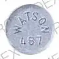 Estradiol vaginal (Estradiol vaginal (systemic) [ es-tra-dye-ole-va-jin-ul ])-WATSON 487-1 mg-Gray-Round