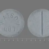 Estradiol vaginal (Estradiol vaginal (systemic) [ es-tra-dye-ole-va-jin-ul ])-WATSON 487-1 mg-Gray-Round