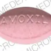 Amoxil (Amoxicillin [ am-ox-i-sil-in ])-AMOXIL 125-125 mg-Pink-Oval