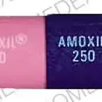 Amoxil (Amoxicillin [ am-ox-i-sil-in ])-AMOXIL 250 AMOXIL 250-250 mg-Blue / Pink-Capsule-shape