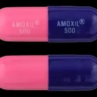 Amoxil (Amoxicillin [ am-ox-i-sil-in ])-AMOXIL 500 AMOXIL 500-500 mg-Blue & Pink-Capsule-shape