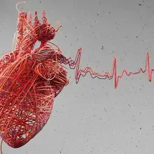 Could bacterial infections trigger heart attacks?