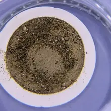 How do microplastics affect the gut?