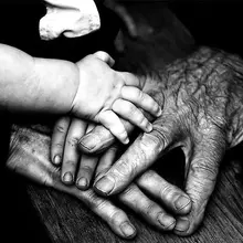 Brain aging: Human brain goes through 5 phases