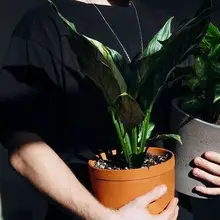 Longevity: Expert tips for staying active as we age