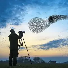 Brain health: Could becoming an expert delay cognitive decline?