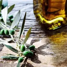 Virgin vs. refined: Olive oil type may matter for gut-brain health