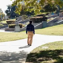 How might a disrupted circadian rhythm affect brain health?