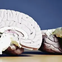 Brain health: AHA outlines 10 factors that shape resilience as we age