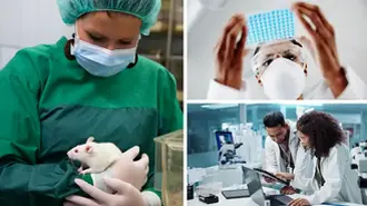 Animal Welfare, Testing and Research of FDA-Regulated Products