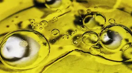 Dementia: Daily dose of olive oil linked to better brain health