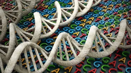 Whole Genome Sequencing: Cracking the Genetic Code for Foodborne Illness