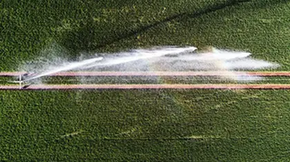 Parkinson's: 3 more pesticides strongly linked to higher risk