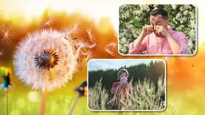 Know Which Medication Is Right for Your Seasonal Allergies