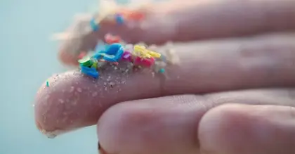 Microplastics contain toxic chemicals that can be absorbed by the skin