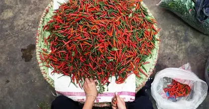 Obesity: Does eating chili peppers increase or decrease risk?