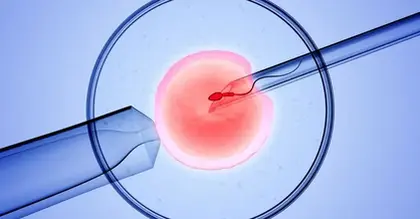 What is the latest in IVF research, and what are the next steps?