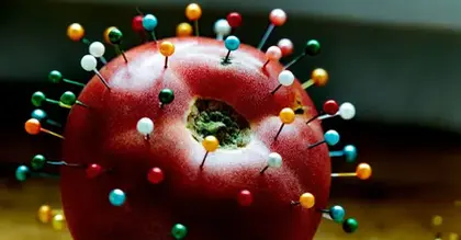 Healthspan: How do different diets protect our health as we age?