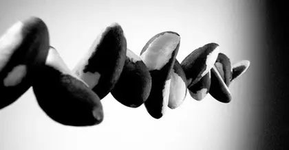 Obesity: Eating Brazil nuts daily may improve inflammation, gut health