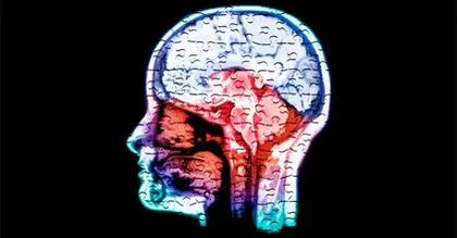 Do calcium and magnesium deficiencies affect brain health?
