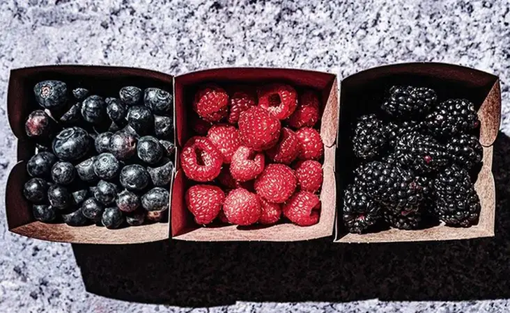 Healthy aging: Eating more berries, flavanoids may be key