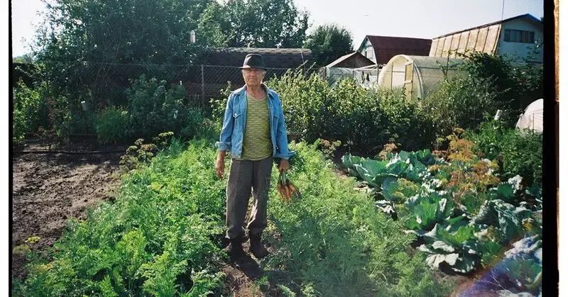 Aging: 3 diets may reduce diabetes, dementia, and heart disease risk