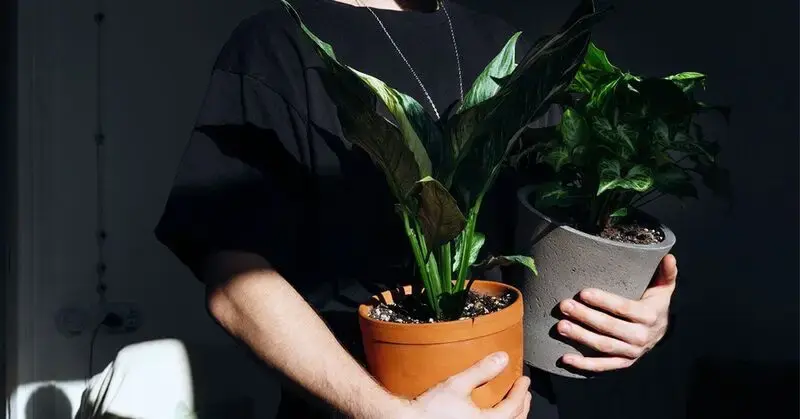 Longevity: Expert tips for staying active as we age