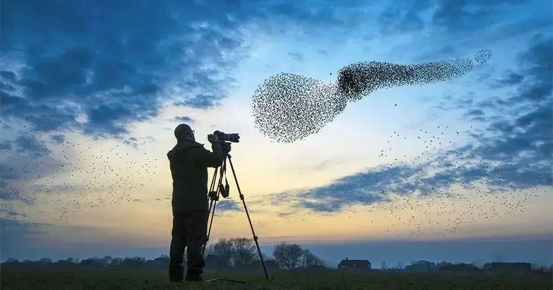 Brain health: Could becoming an expert delay cognitive decline?