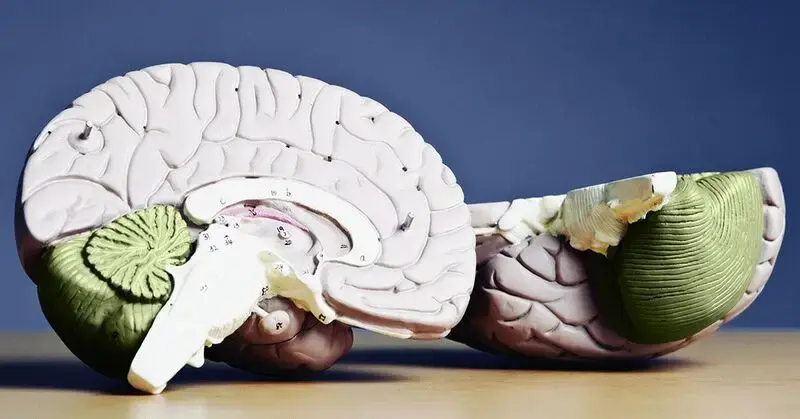 Brain health: AHA outlines 10 factors that shape resilience as we age